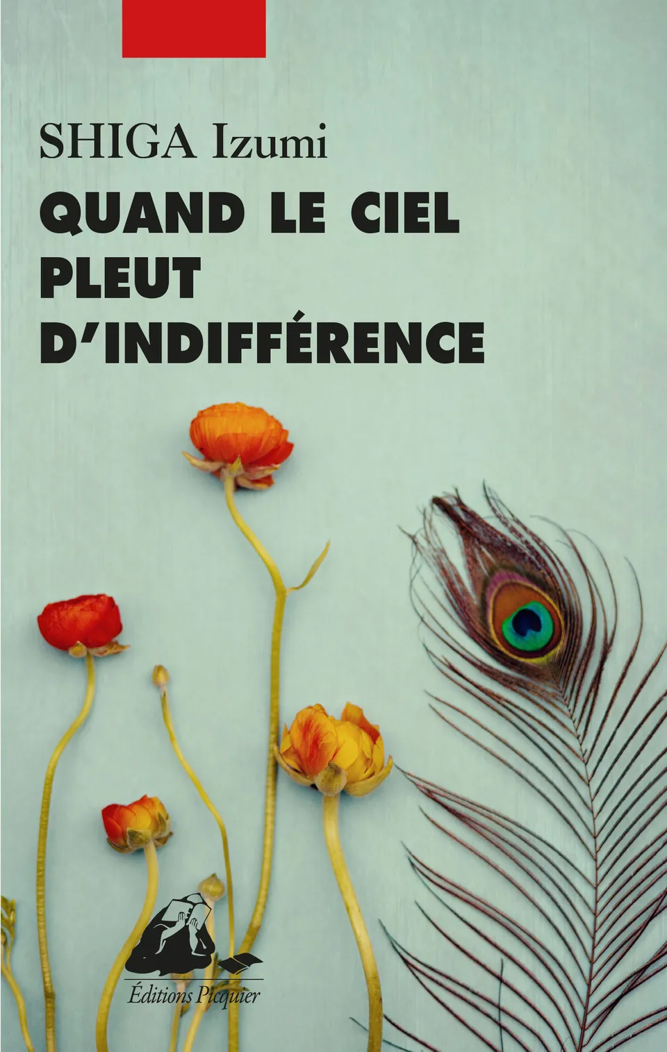 Éditions Picquier Romans et nouvelles Quand le ciel pleut d’indifférence roman