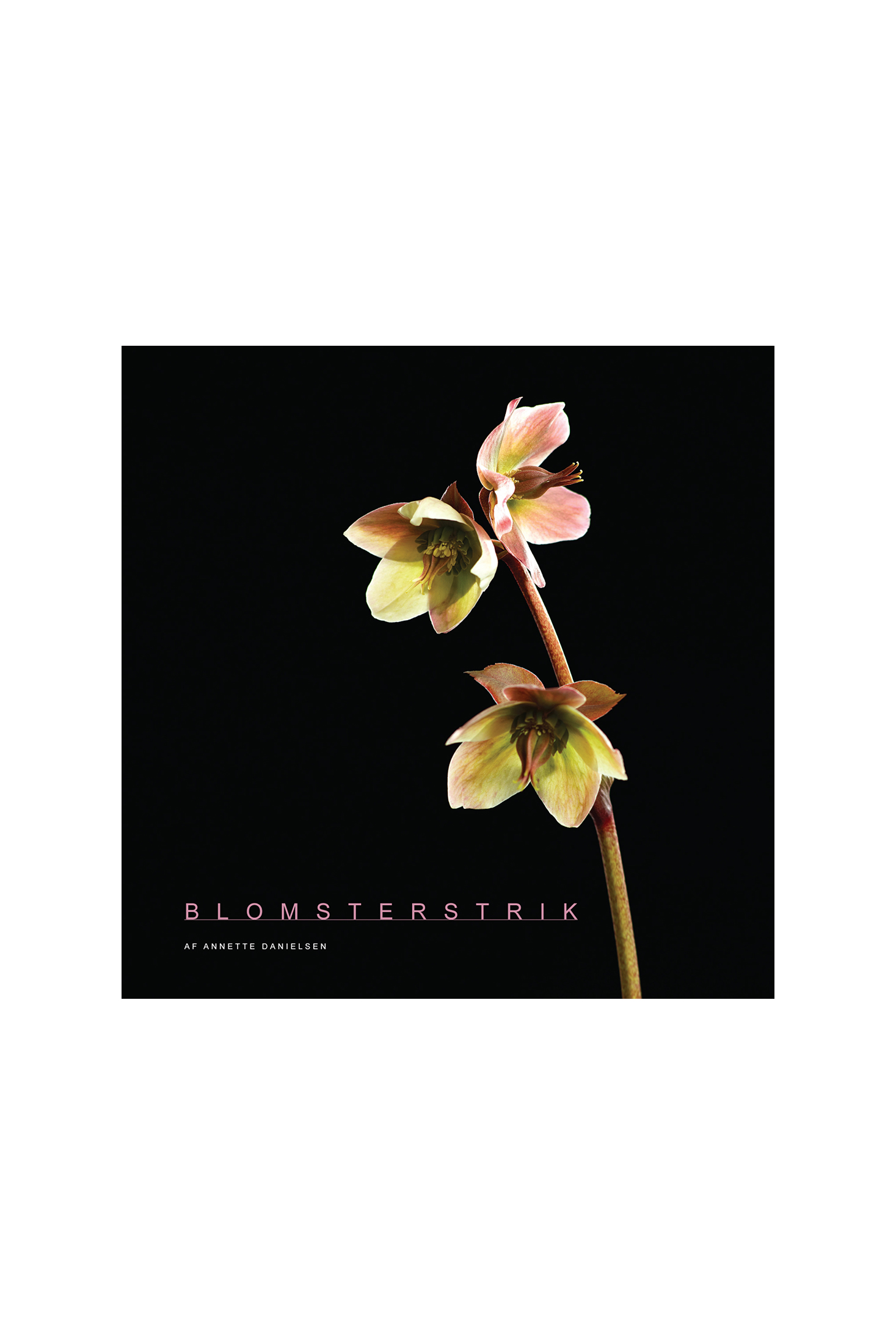 Isager Books BLOMSTERSTRIK livre tricot fleurs