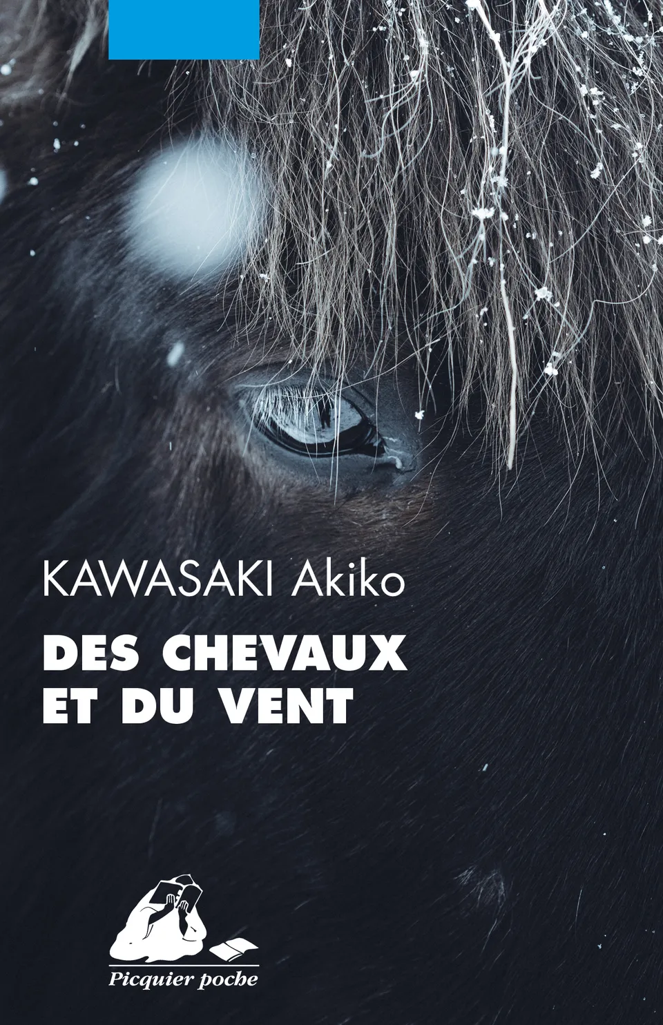 Éditions Picquier Des Chevaux et du vent roman asiatique