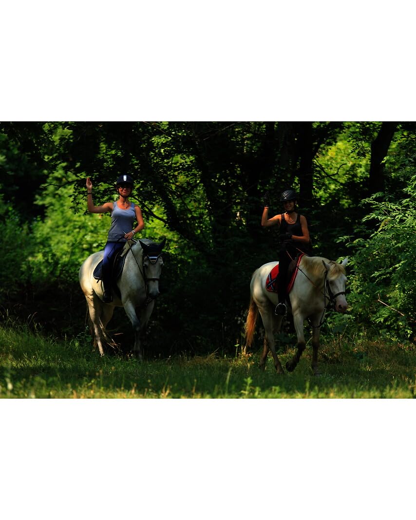 Wonderbox Sport & aventure Sportives Et Aventurières coffret 1510 activités
