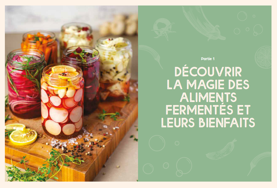 Souccar Editions Guide pratique La magie des aliments fermentés livre broché