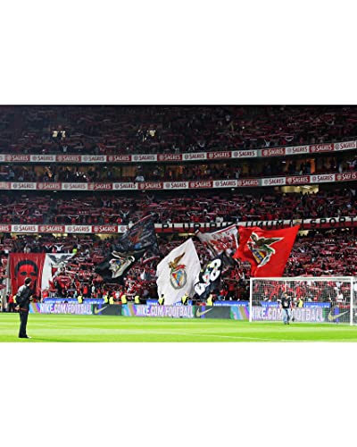 Wonderbox Évènements Sportifs SL Benfica coffret cadeau 2 pers match