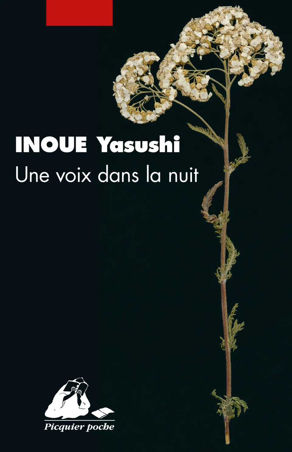 Éditions Picquier Romans Une voix dans la nuit roman suspense