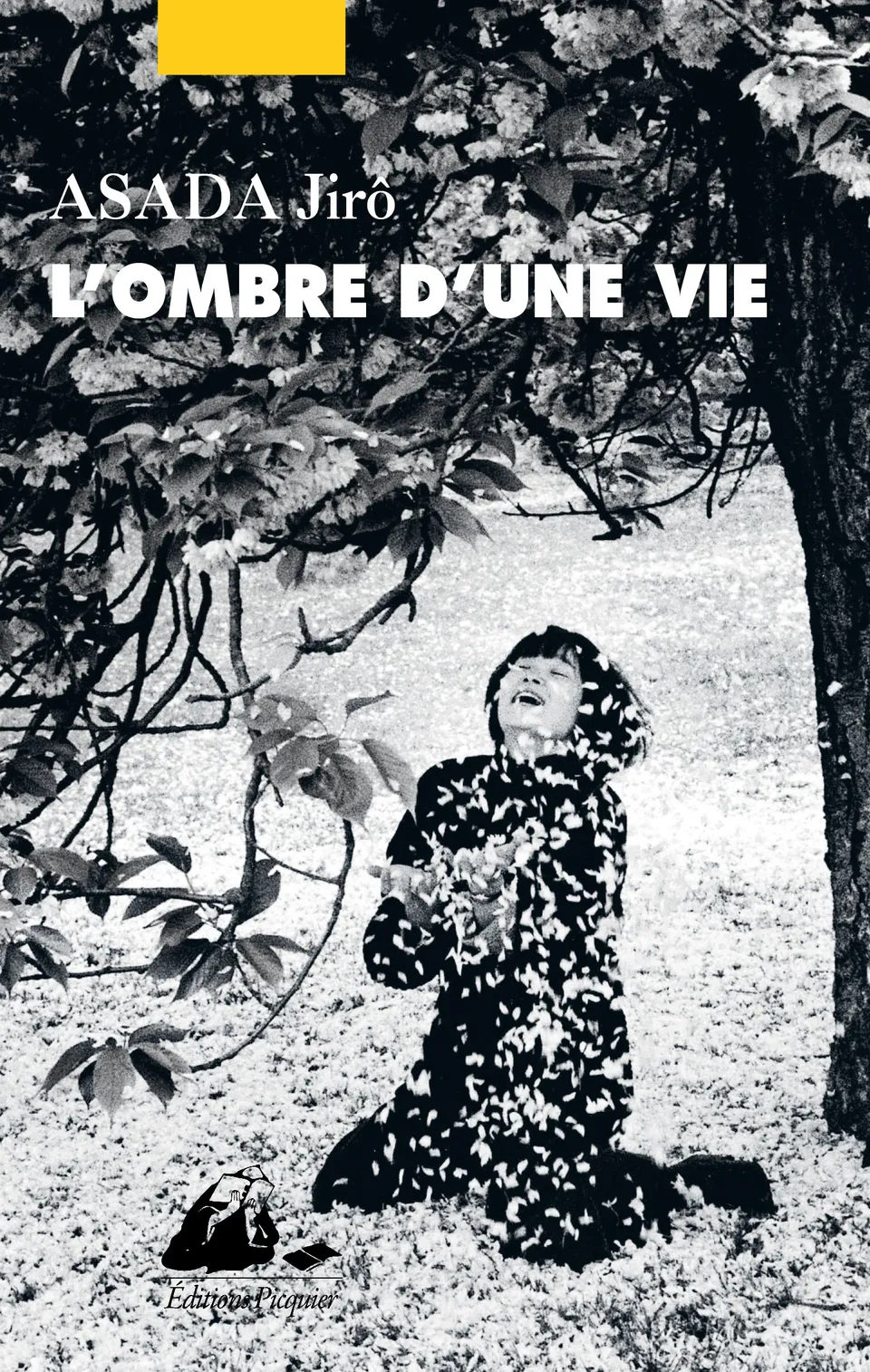 Éditions Picquier L'Ombre d'une vie roman poche