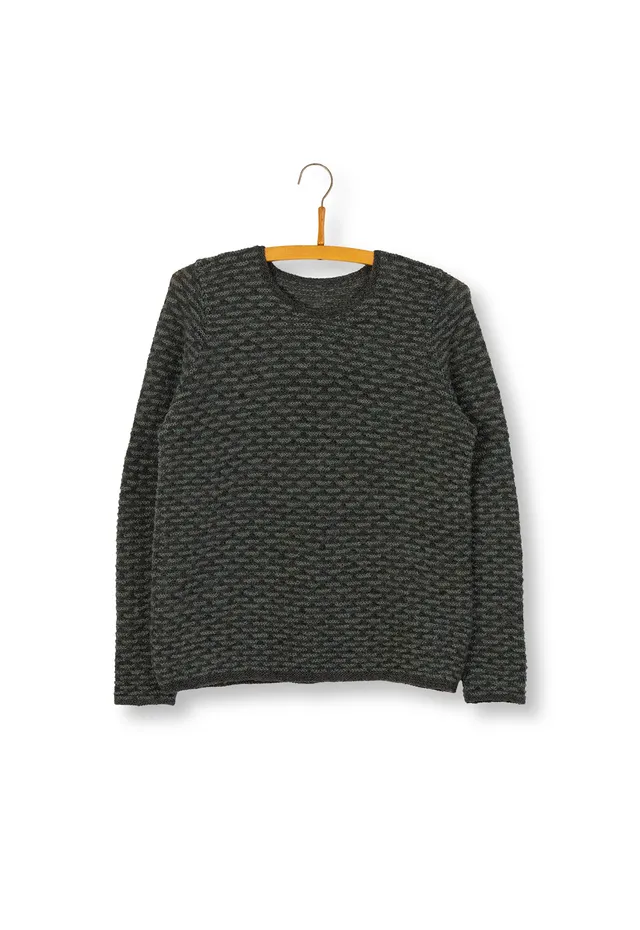 Isager Vind og Vejr trøje kit tricot pull laine