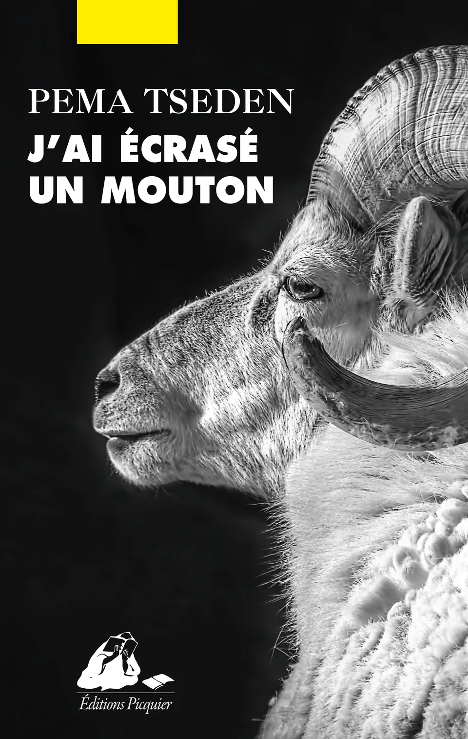 Éditions Picquier J’ai écrasé un mouton roman poche humour