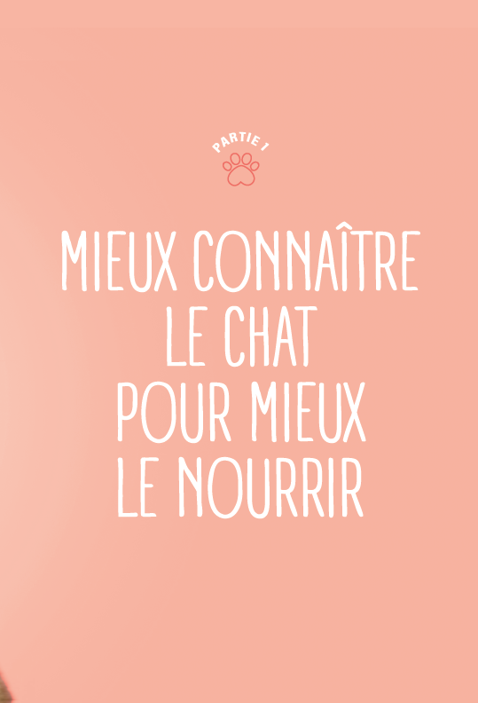 Souccar Guide pratique Bien nourrir son chat livre broché