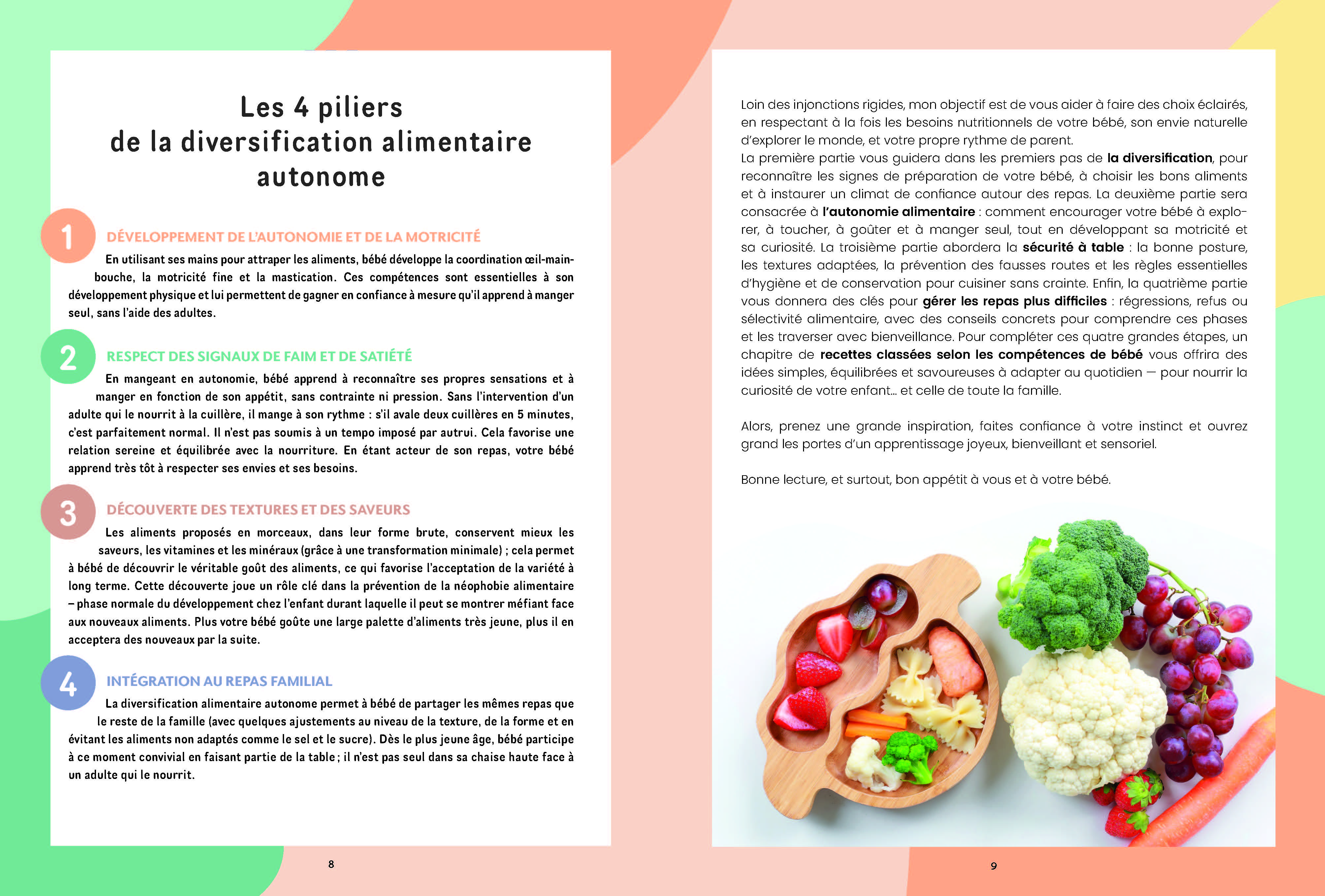 Souccar Piliers santé Purées ou morceaux livre broché bébé