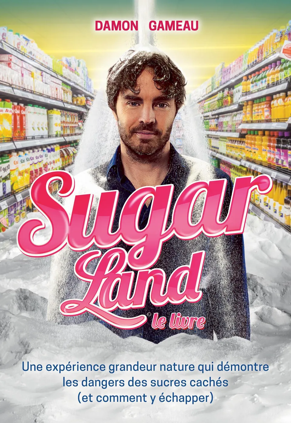 Souccar Editions Guide pratique Sugarland livre broché sucre
