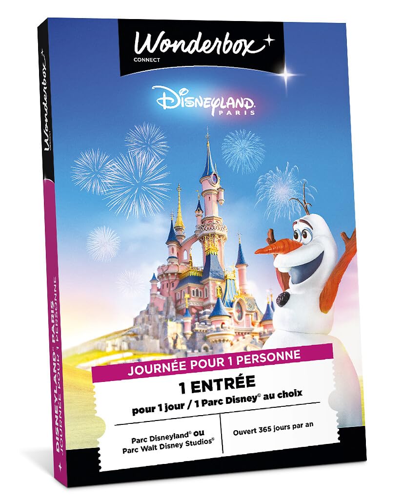 Wonderbox Connect Disneyland Paris coffret 1 jour 1 parc 1p