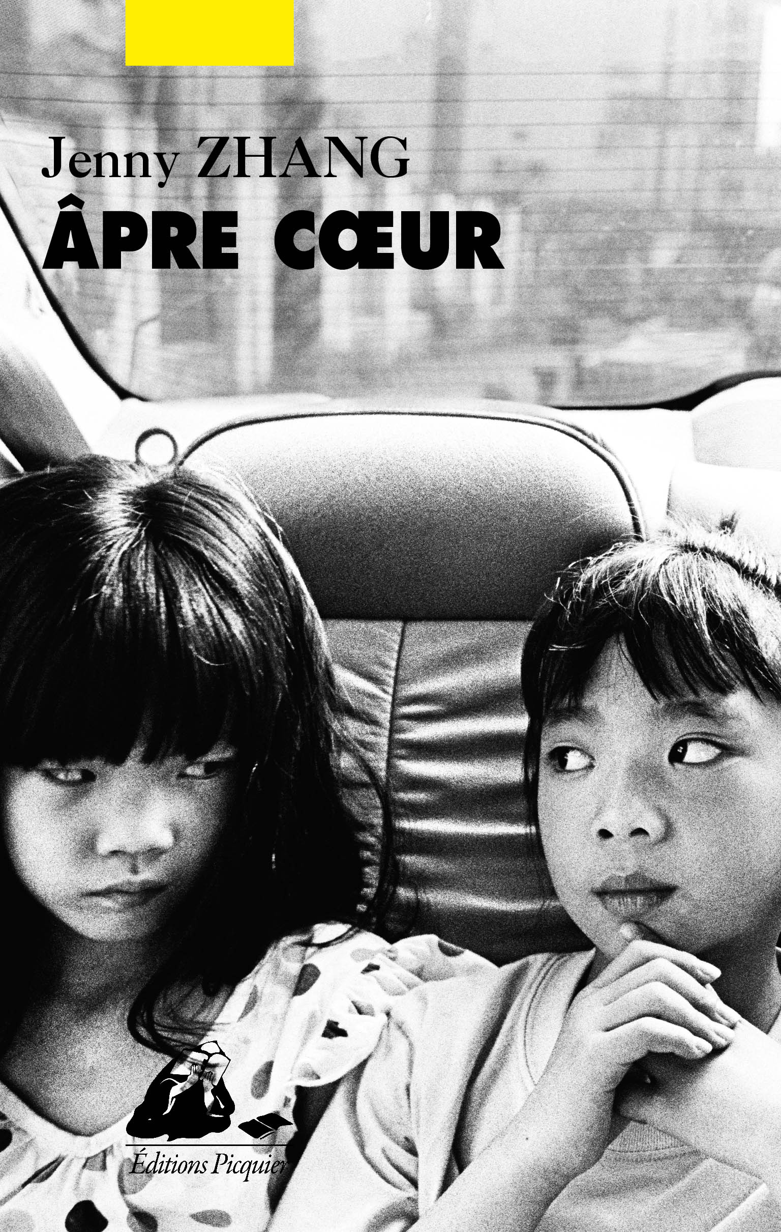 Éditions Picquier Romans et nouvelles Âpre cœur roman