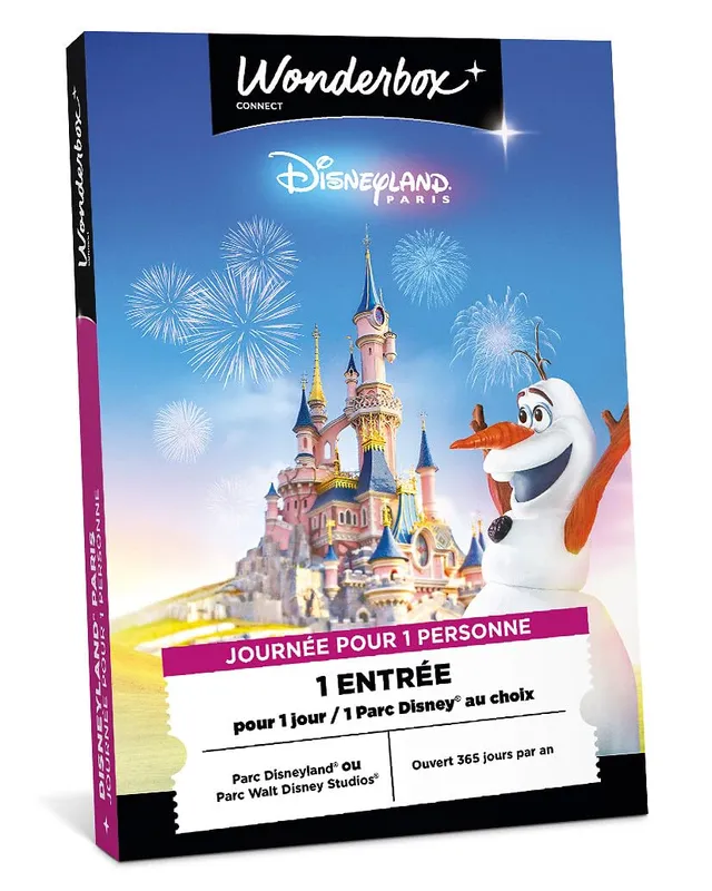 Wonderbox Connect Disneyland Paris coffret 1 jour 1 parc 1p