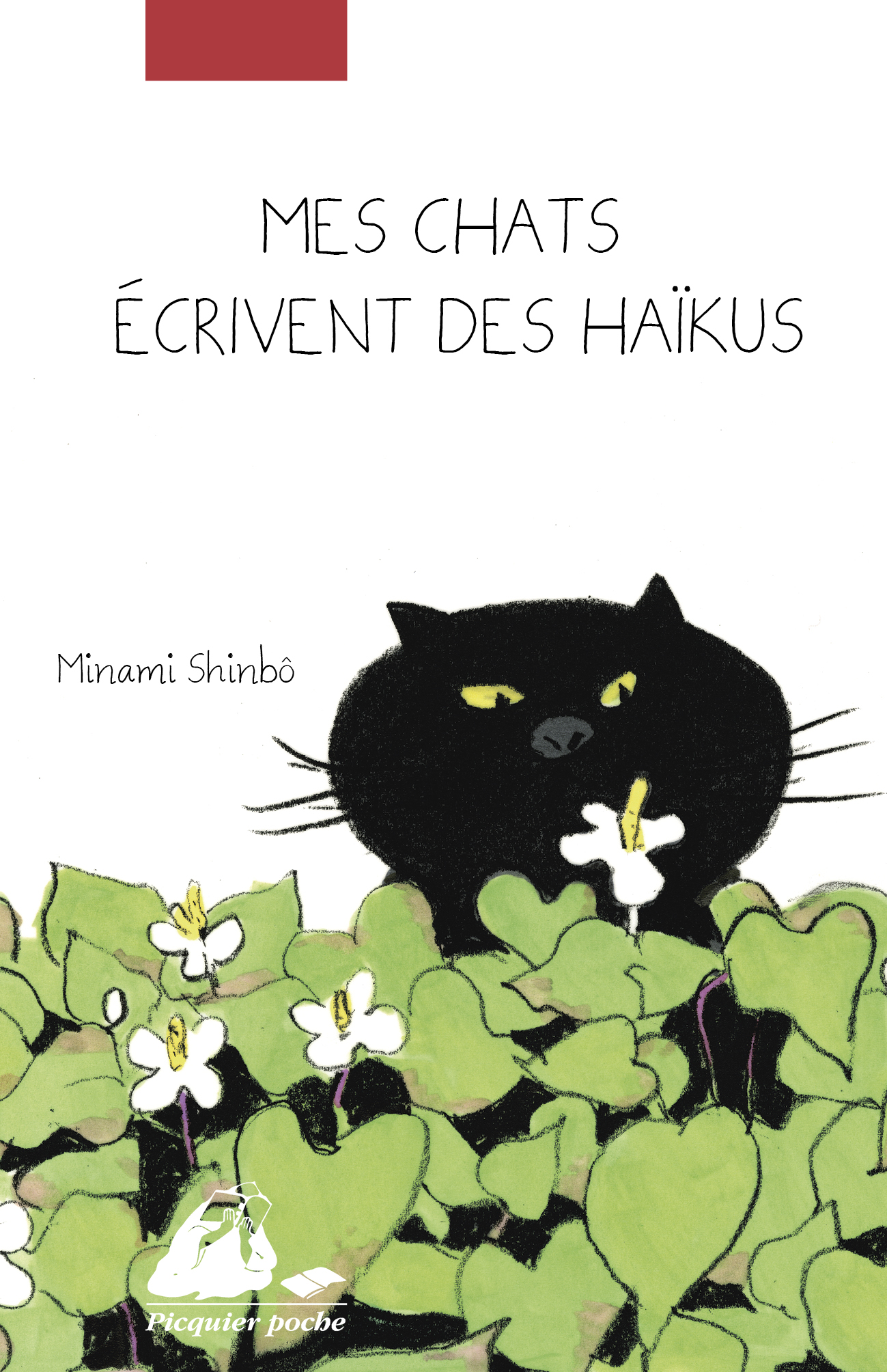 Éditions Picquier Mes chats écrivent des haïkus album 5 ans