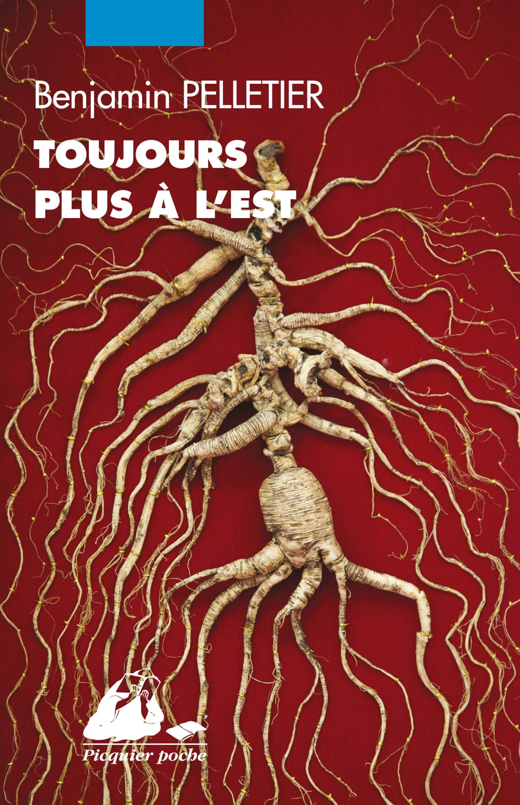 Éditions Picquier Romans et nouvelles Toujours plus à l’est roman