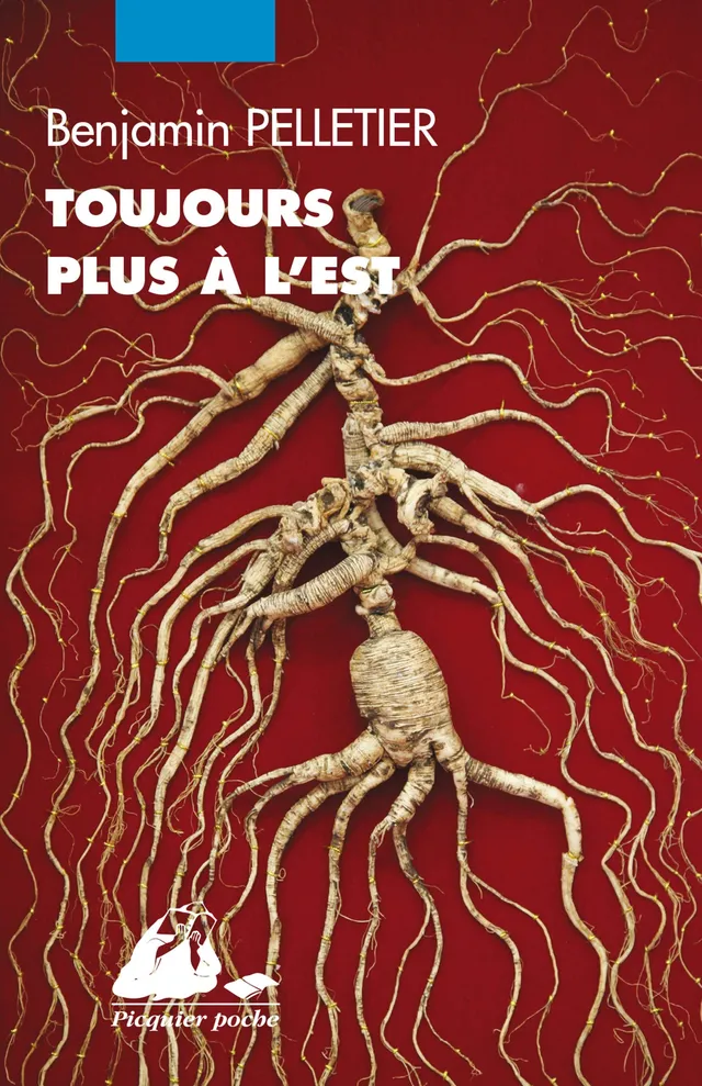 Éditions Picquier Romans et nouvelles Toujours plus à l’est roman