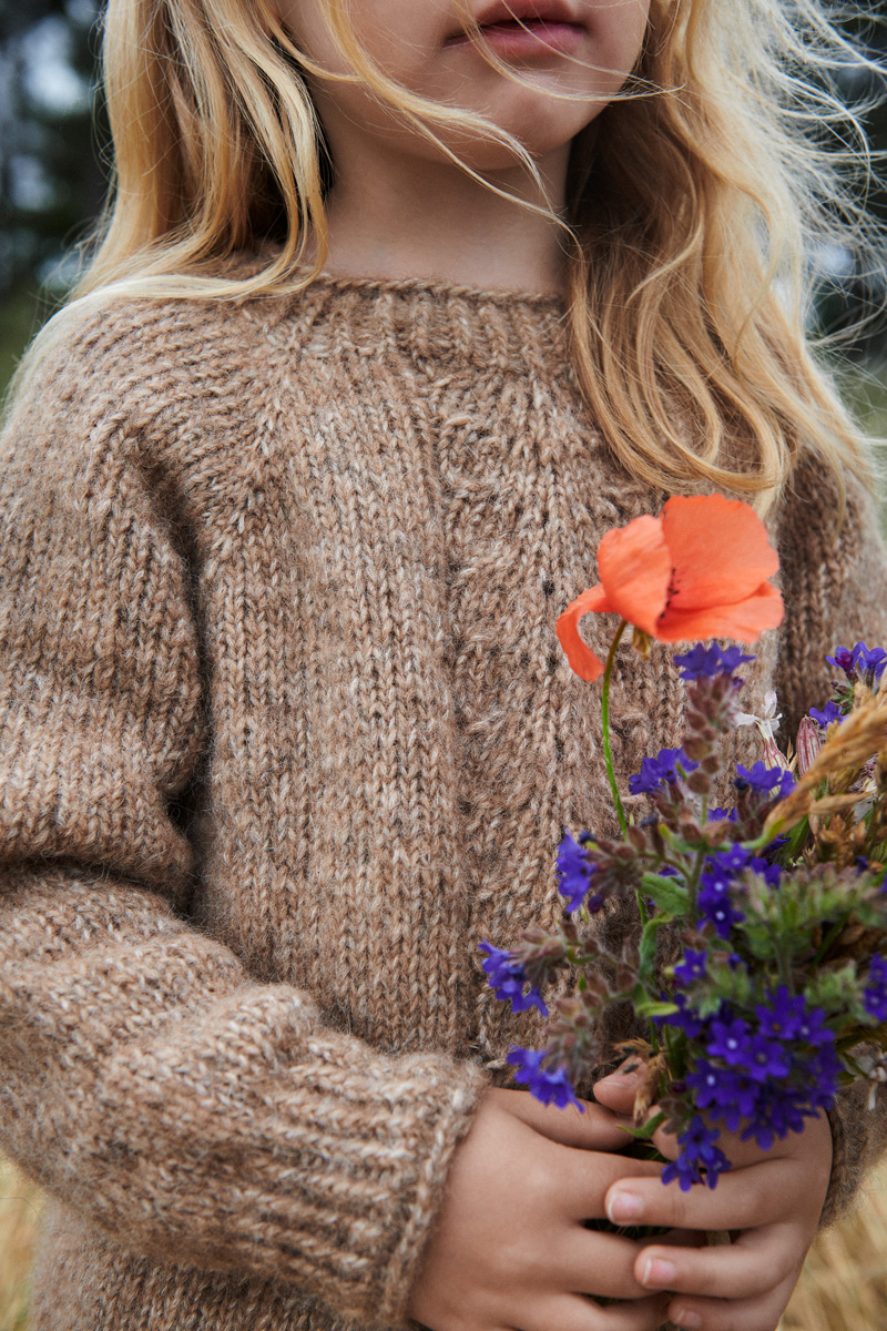 Isager Pheasant kit tricot modèle laine
