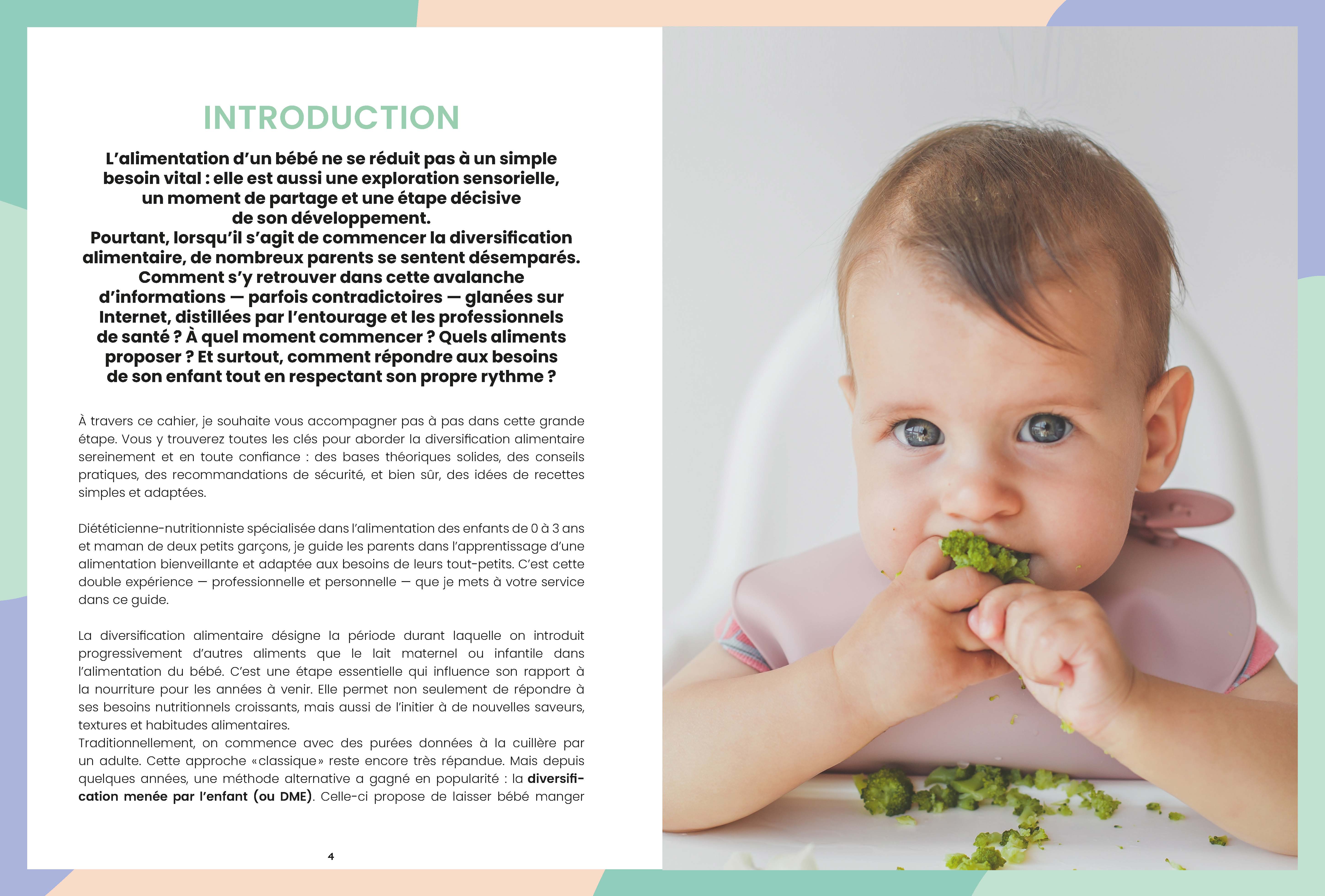 Souccar Piliers santé Purées ou morceaux livre broché bébé