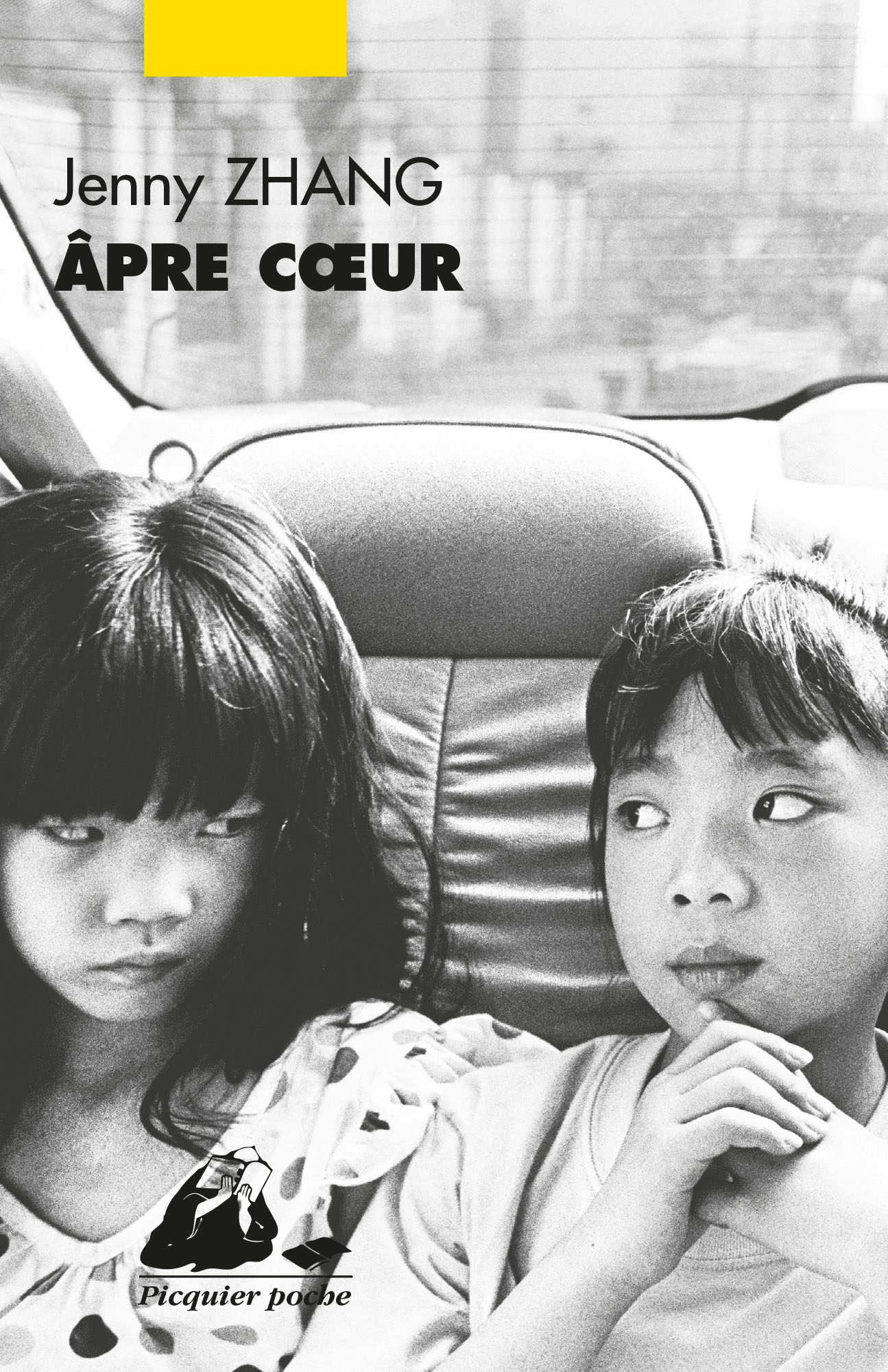 Éditions Picquier Romans et nouvelles Âpre cœur roman