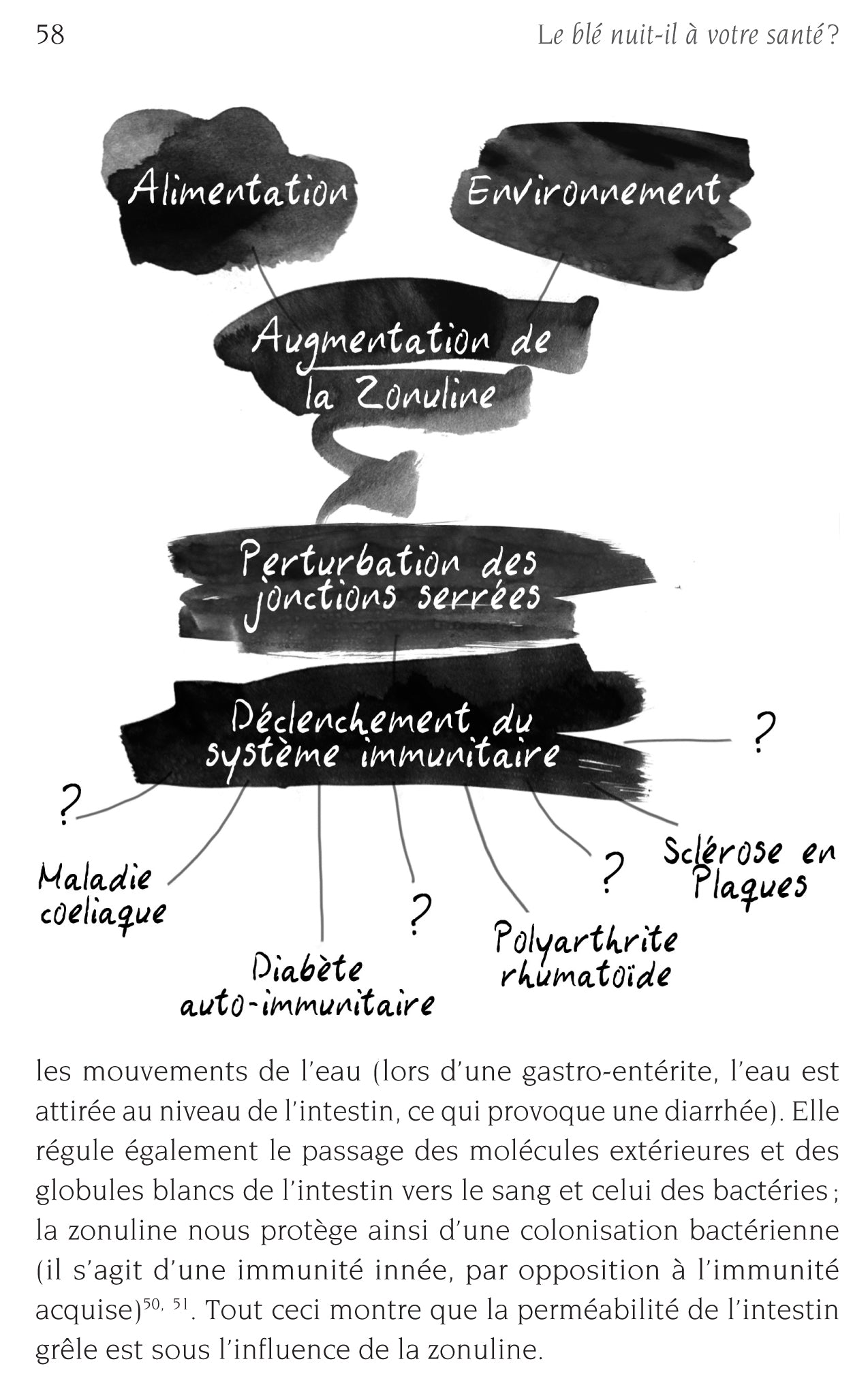 Souccar Gluten comment le blé moderne nous intoxique livre