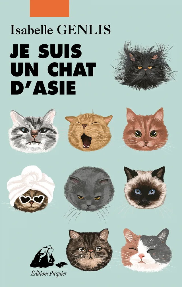 Éditions Picquier Je suis un chat d’Asie livre roman japonais