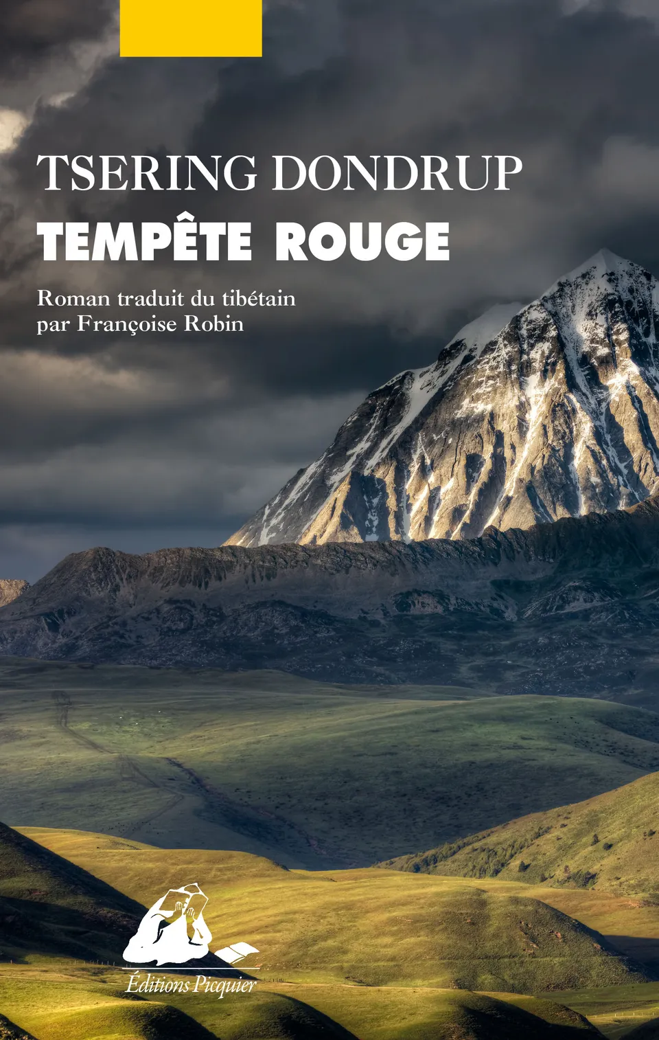 Éditions Picquier Tempête rouge roman poche Asie