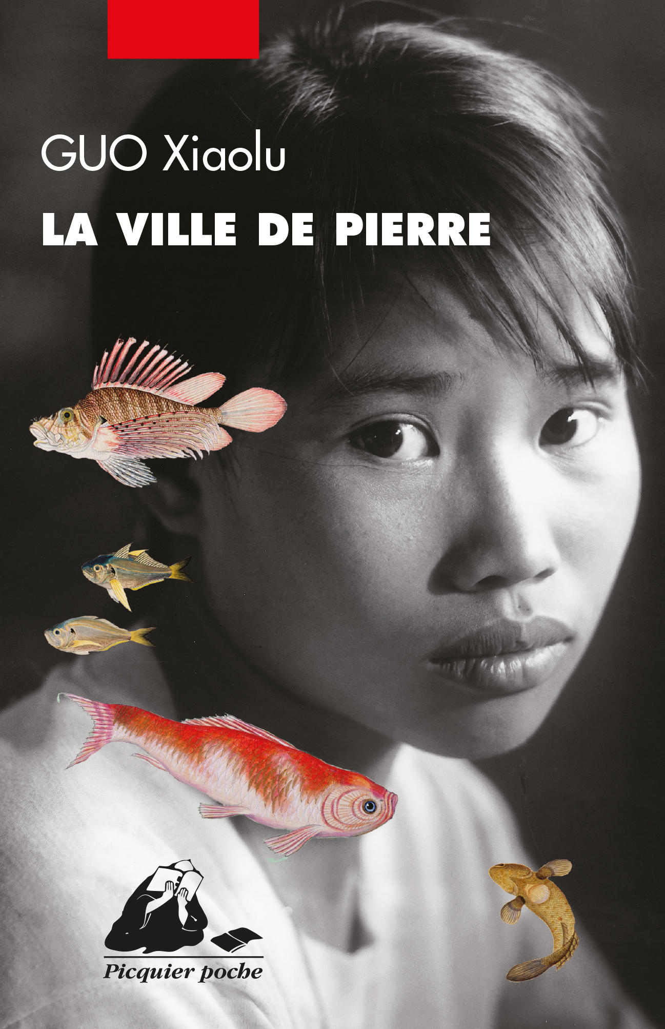 Éditions Picquier La Ville de Pierre roman poche asiatique