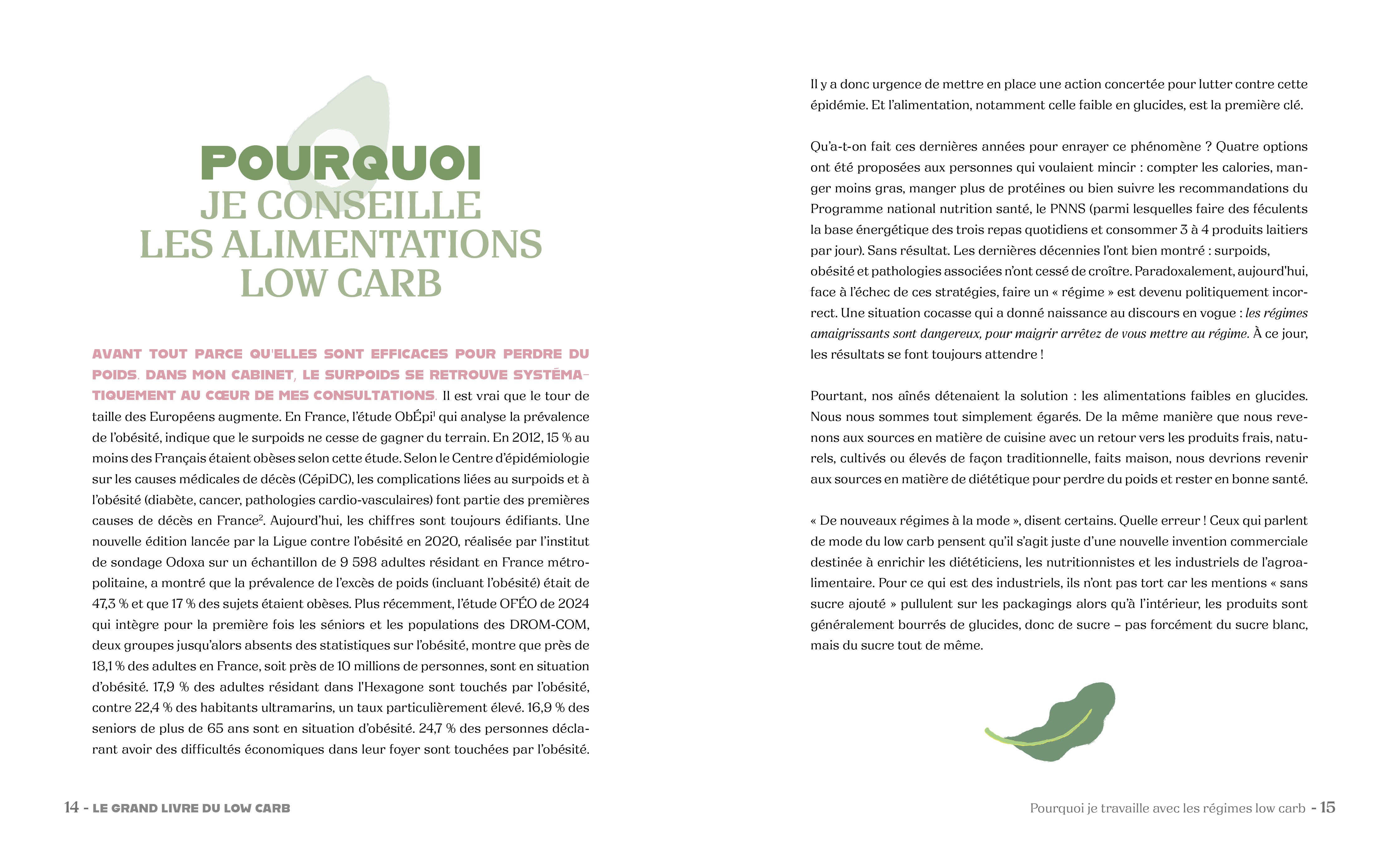Souccar Recettes santé Grand livre du low carb livre broché