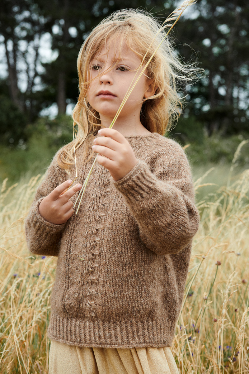 Isager Pheasant kit tricot modèle laine