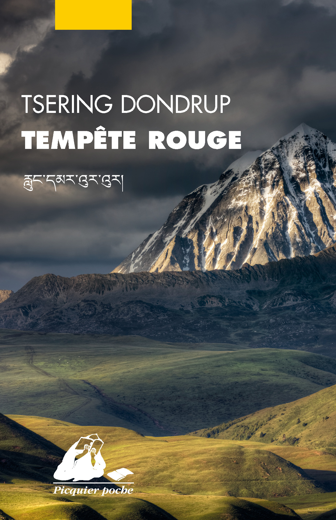 Éditions Picquier Tempête rouge roman poche Asie