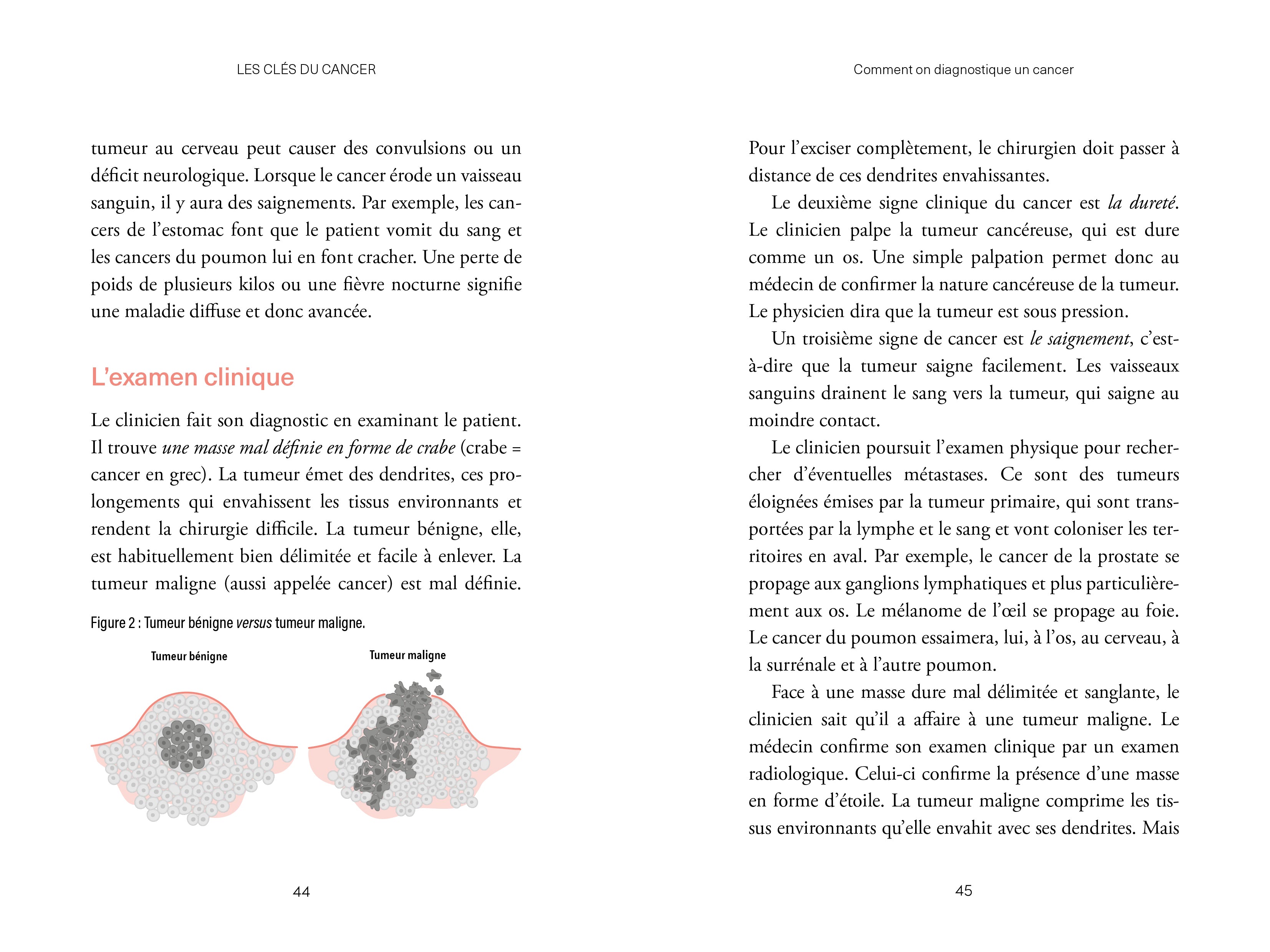 Souccar Essai Les clés du cancer livre broché métabolique