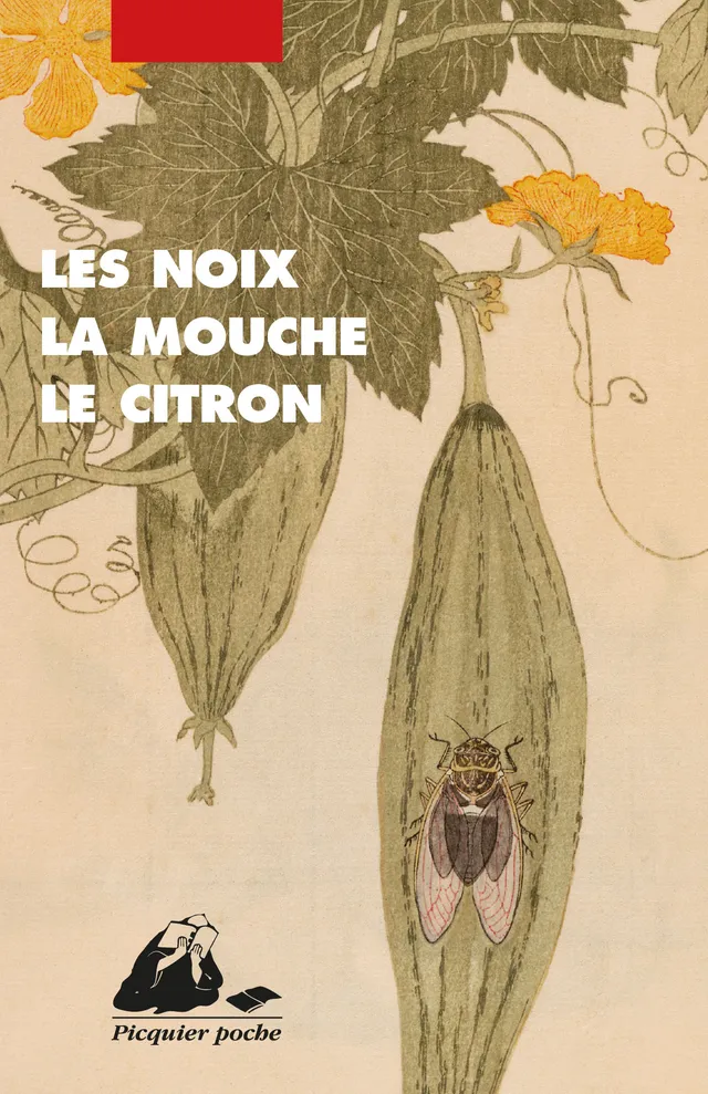 Éditions Picquier Les Noix, la mouche, le citron nouvelles