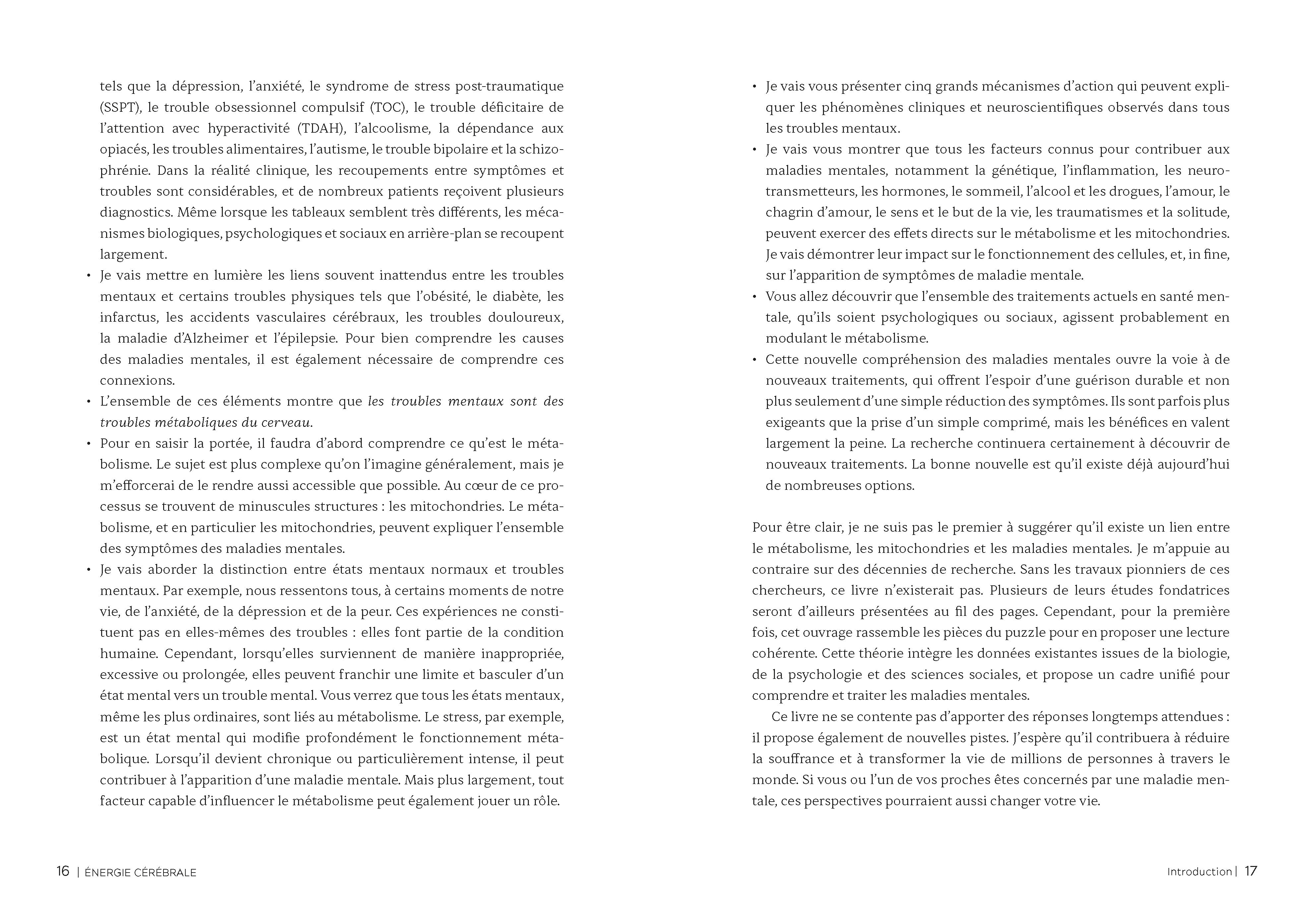 Souccar Editions Guide pratique Énergie cérébrale livre broché métabolisme