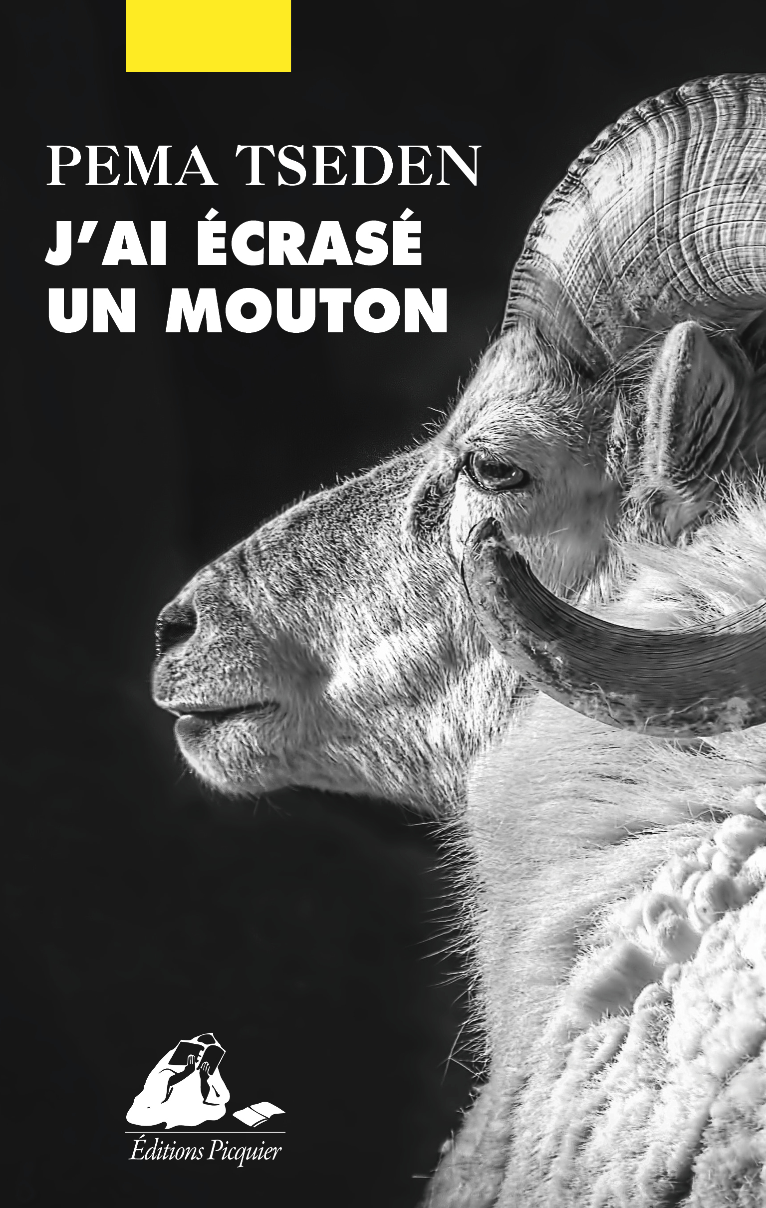 Éditions Picquier J’ai écrasé un mouton roman poche humour