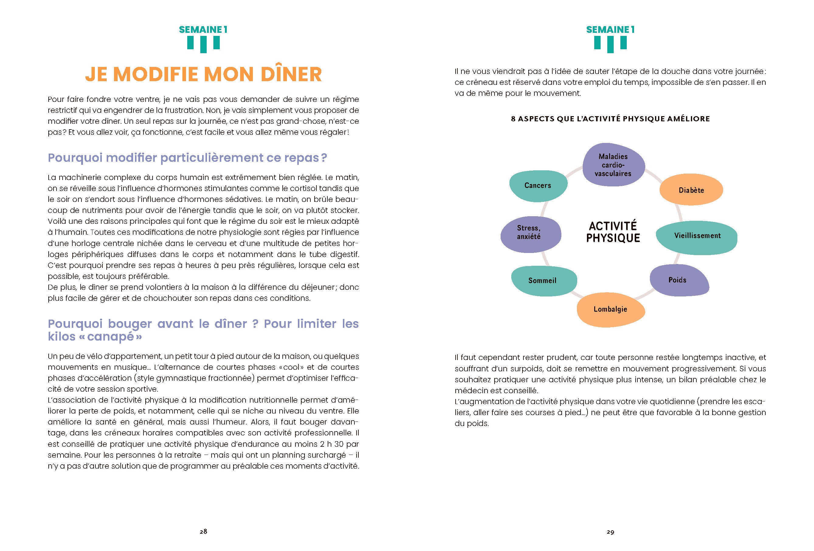 Souccar Je veux perdre du ventre livre broché graisse abdominale