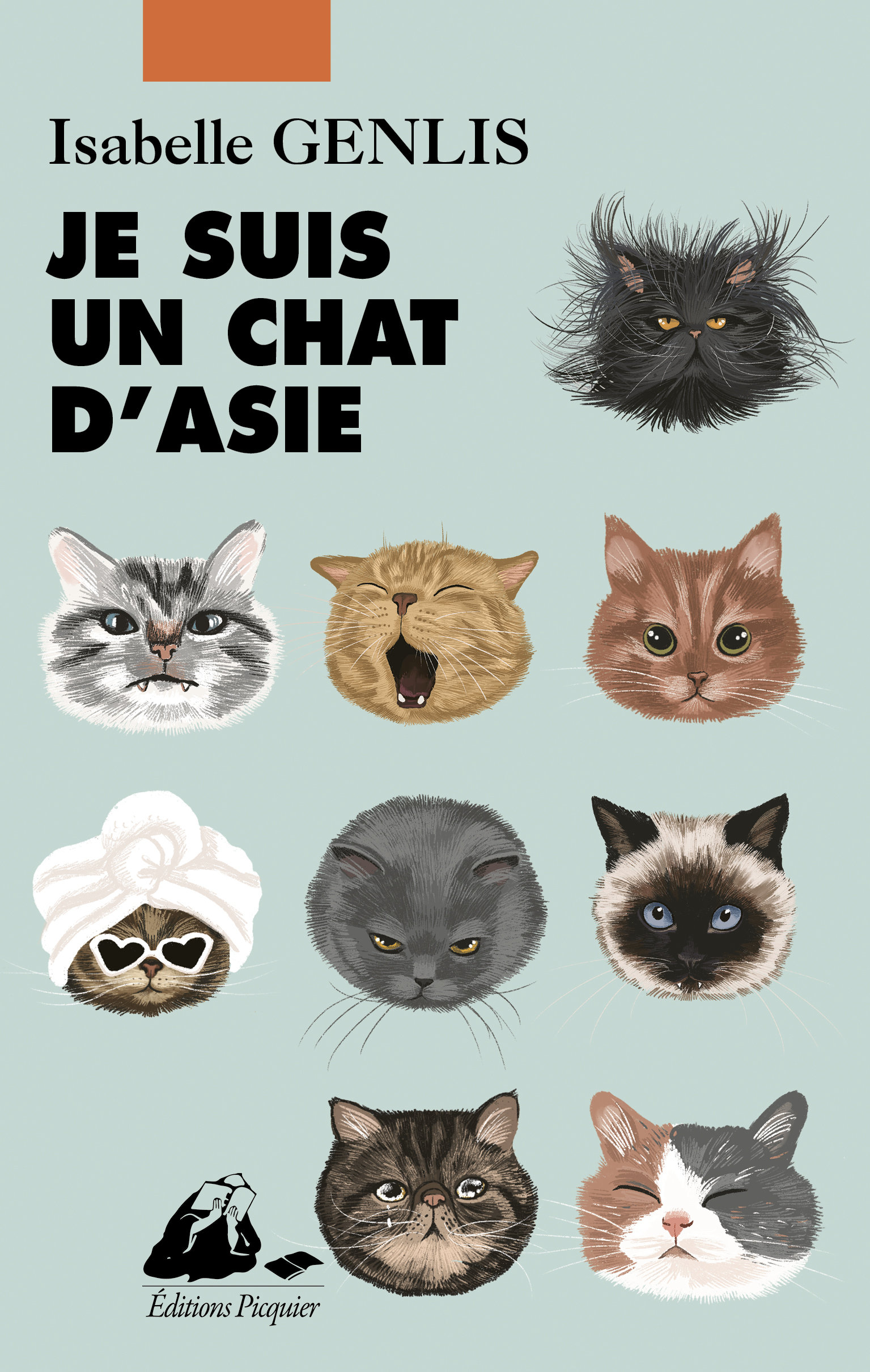 Éditions Picquier Je suis un chat d’Asie livre roman japonais