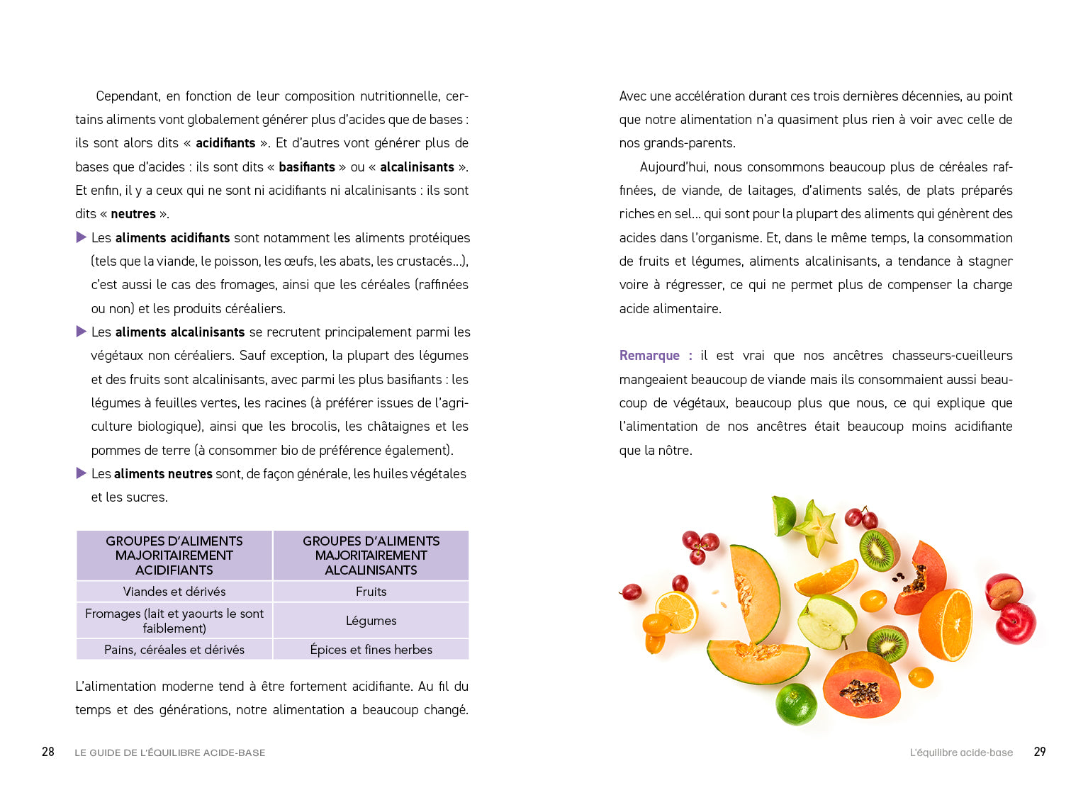 Souccar Editions Guide pratique Le guide de l'équilibre acide-base livre broché