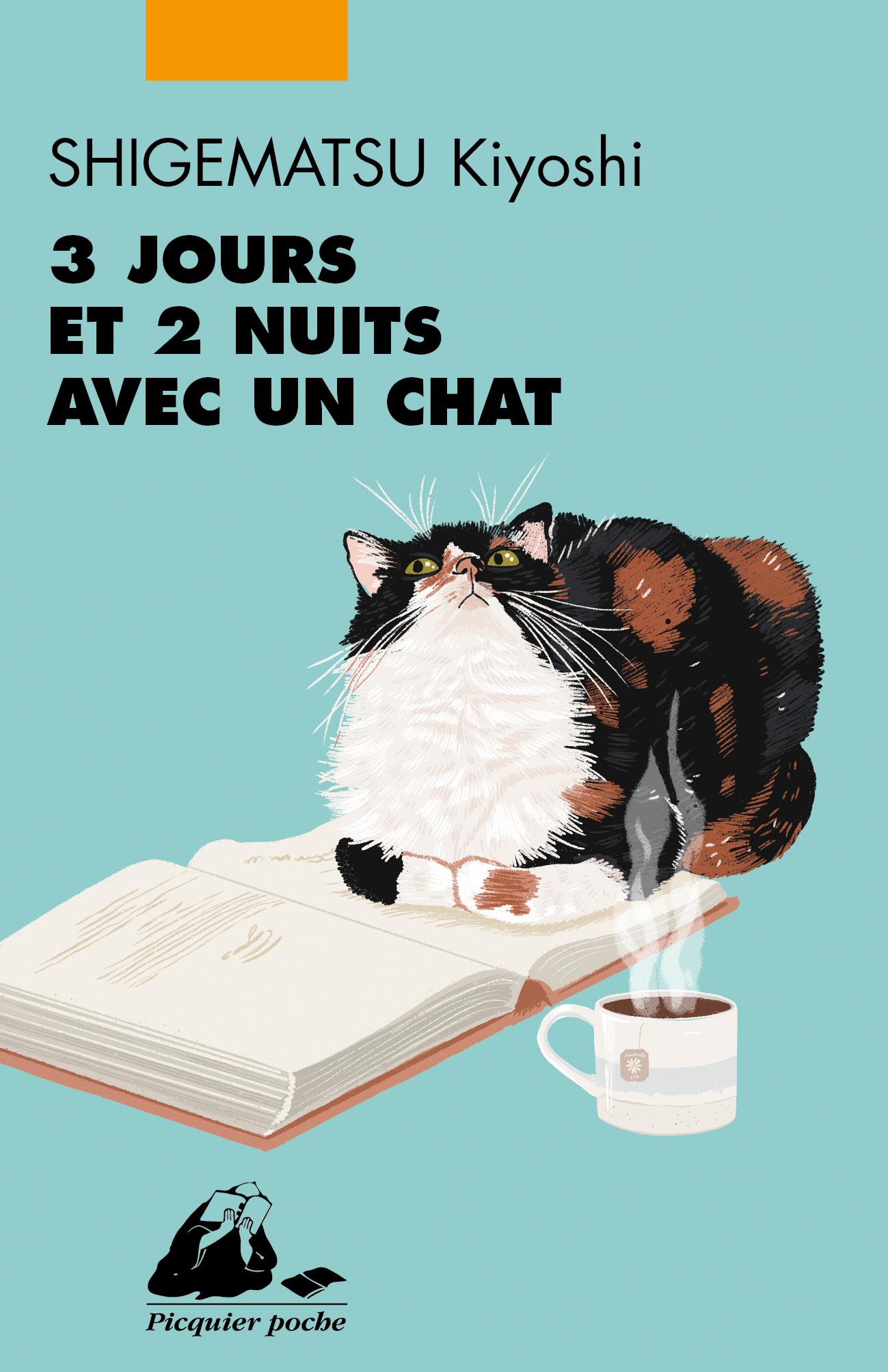 Éditions Picquier 3 Jours et 2 nuits avec un chat roman livre