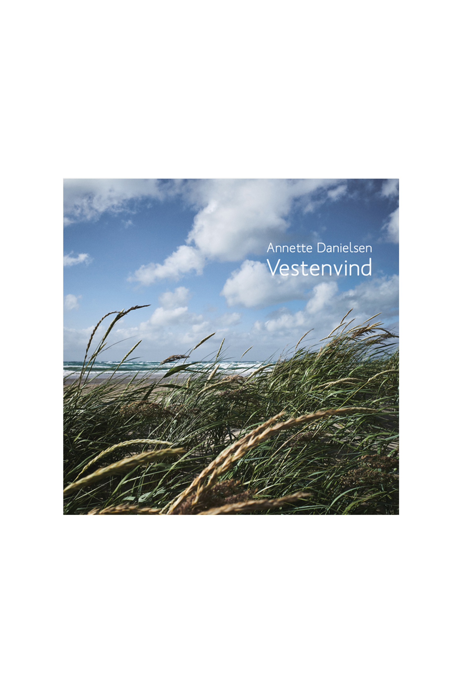 Isager Vestenvind livre tricot modèles laine